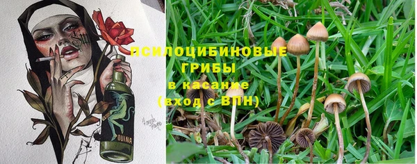 2c-b Абдулино