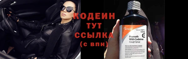 эйфоретик Покачи