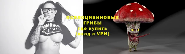 2c-b Абдулино