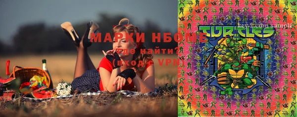 PSILOCYBIN Абаза