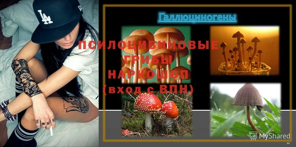 эйфоретик Покачи