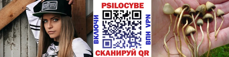 Псилоцибиновые грибы GOLDEN TEACHER Киренск