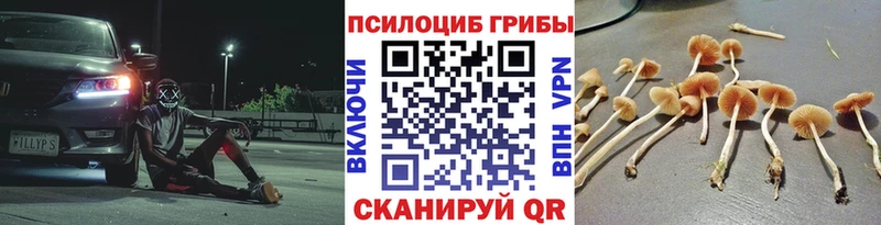 Галлюциногенные грибы Psilocybine cubensis магазин KRAKEN маркетплейс Киренск